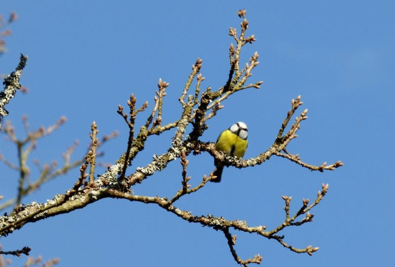 Name:  Screenshot2024-02-29130117.jpg
Views: 69
Size:  49.0 KB