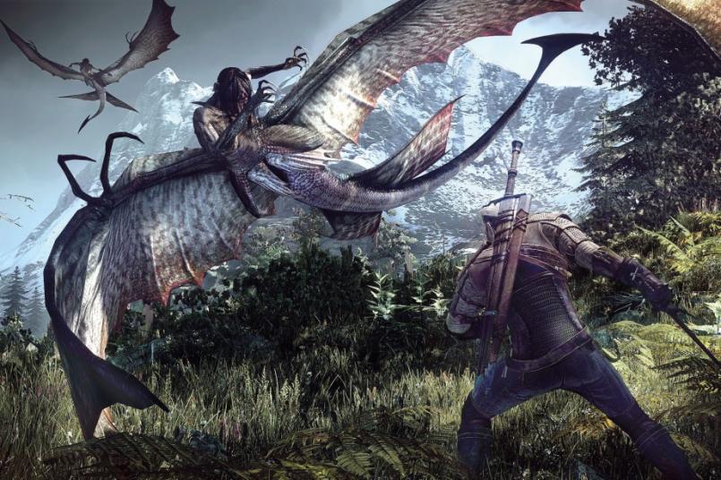 Name:  1016274-the-witcher-iii-wild-hunt.jpg
Views: 252
Size:  101.7 KB