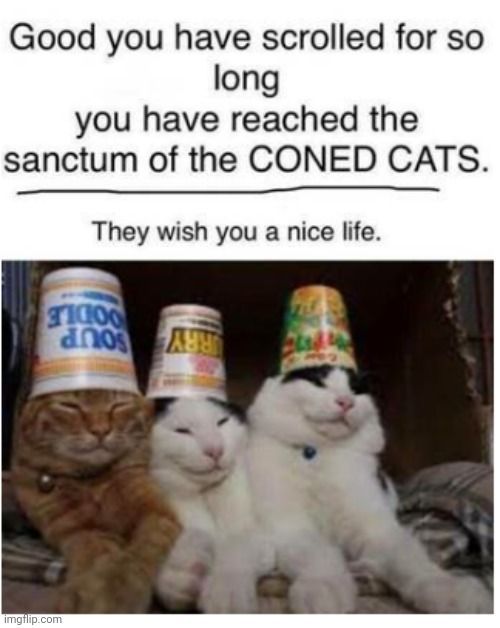 Name:  20240306_191653.jpg
Views: 30
Size:  45.5 KB