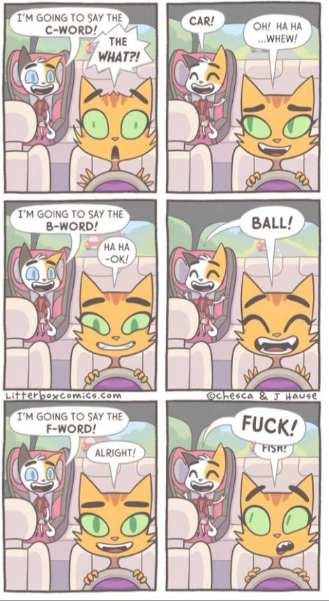 Name:  20240313_112417.jpg
Views: 21
Size:  81.9 KB