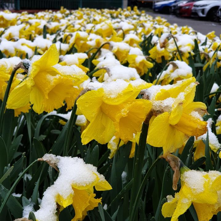 Name:  Screenshot_20240318-092224_Gallery.jpg
Views: 48
Size:  90.5 KB