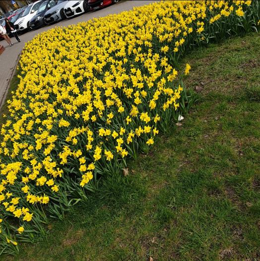 Name:  Screenshot_20240321-140533_Gallery.jpg
Views: 40
Size:  99.5 KB