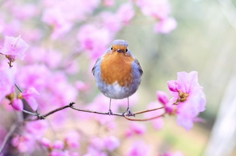 Name:  Screenshot2024-03-22114118.jpg
Views: 97
Size:  38.3 KB