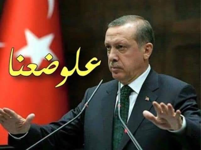 Name:  Halim3O5O.jpg
Views: 18
Size:  27.3 KB