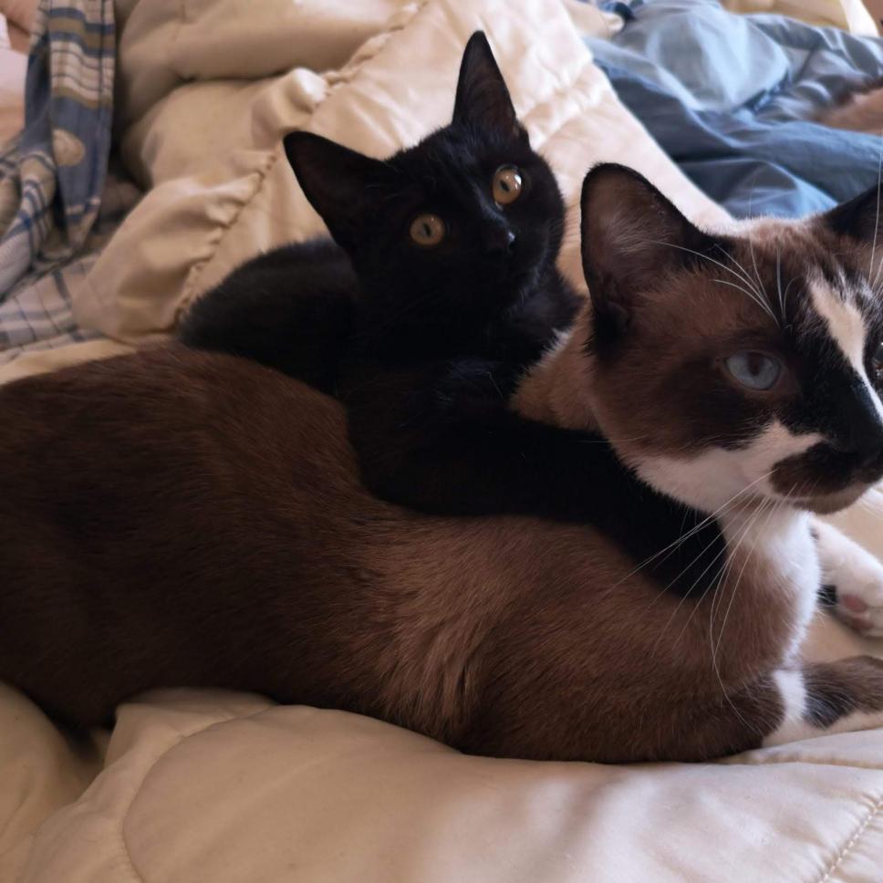 Name:  Harry Nana.jpg
Views: 284
Size:  80.3 KB