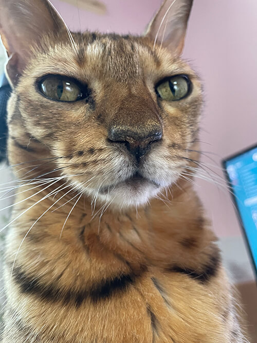 Name:  Arthur_re.jpg
Views: 275
Size:  88.5 KB