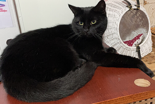 Name:  Drake_re.jpg
Views: 269
Size:  68.4 KB