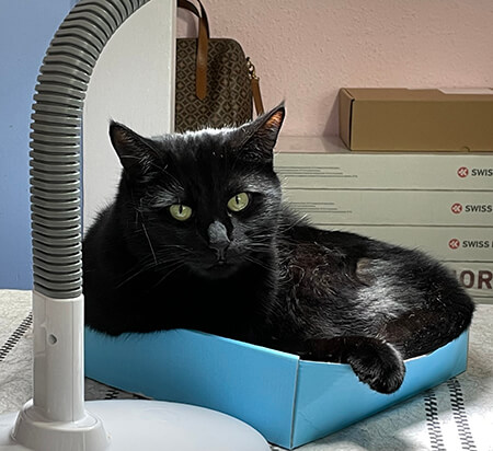 Name:  Drake2_re.jpg
Views: 1012
Size:  49.6 KB