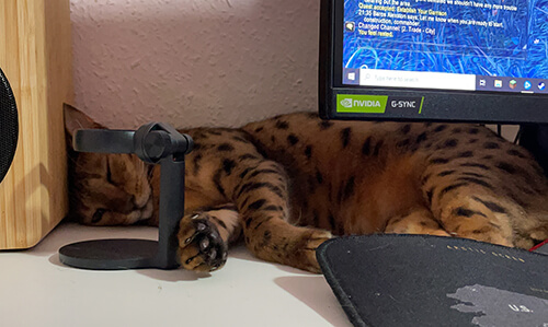 Name:  Arthur2_re.jpg
Views: 1058
Size:  72.0 KB