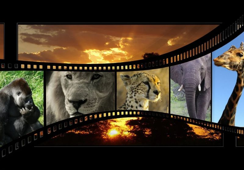 Name:  Screenshot2024-04-05162420.jpg
Views: 60
Size:  66.6 KB