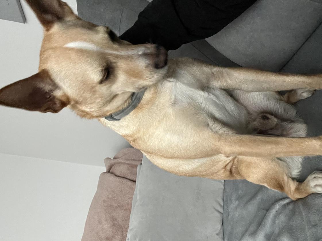 Name:  IMG_2030.jpg
Views: 65
Size:  95.4 KB