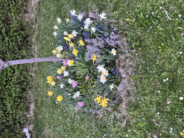 Name:  IMG_2149.jpg
Views: 41
Size:  103.0 KB