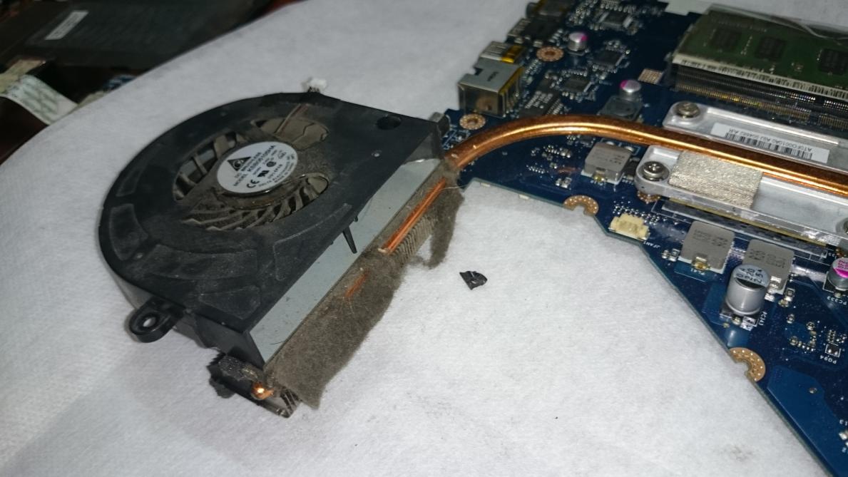 Name:  DSC_0276.jpg
Views: 110
Size:  95.0 KB