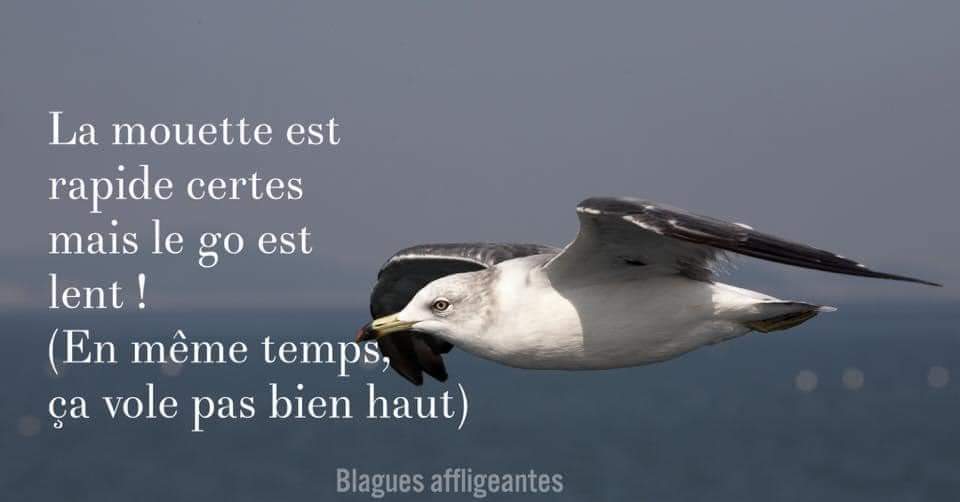 Name:  20240406_154602.jpg
Views: 20
Size:  24.1 KB