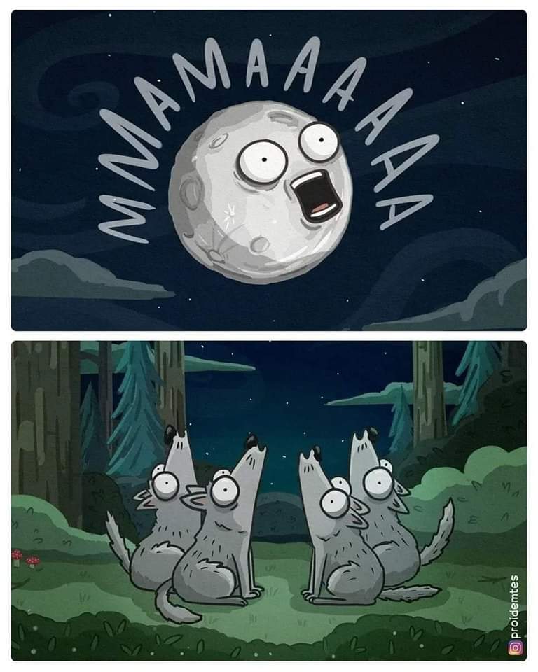 Name:  20240401_134125.jpg
Views: 19
Size:  66.3 KB