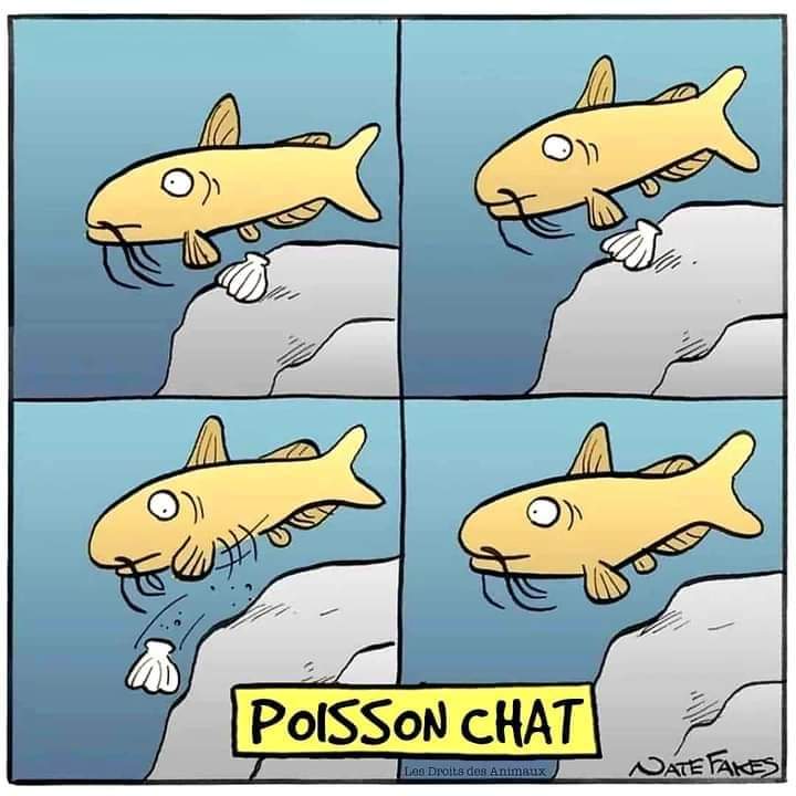 Name:  20240325_115451.jpg
Views: 19
Size:  50.4 KB