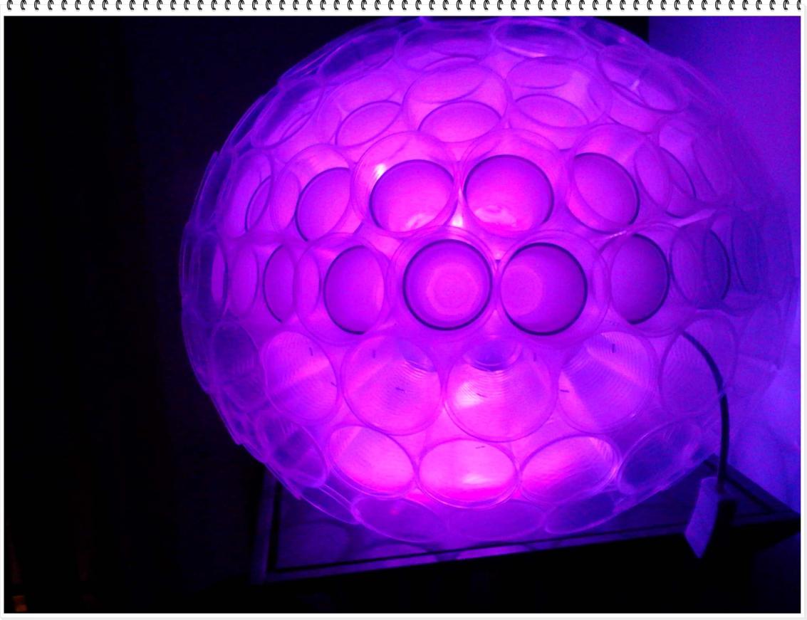 Name:  4violet.jpg
Views: 75
Size:  86.5 KB