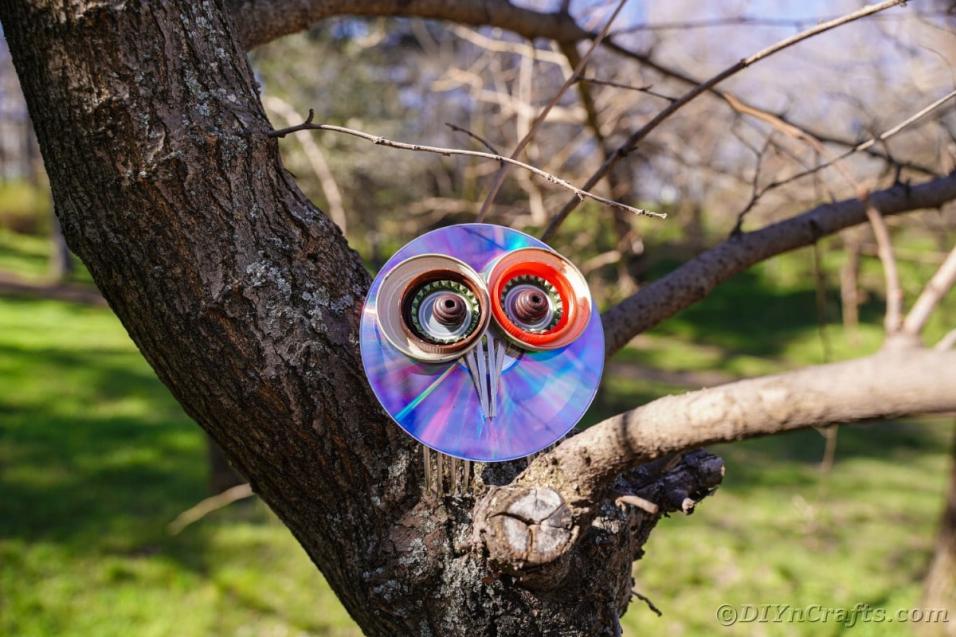 Name:  Upcycled-CD-Owl-29.jpg
Views: 39
Size:  96.4 KB