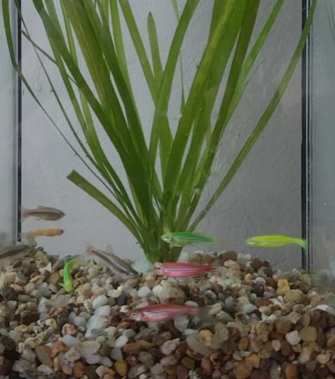 Name:  inbound145581641046252759.jpg
Views: 52
Size:  37.6 KB