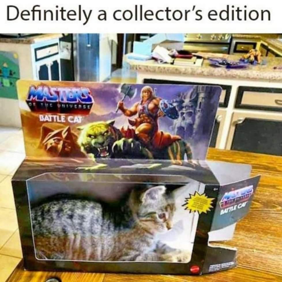 Name:  20240406_162442.jpg
Views: 47
Size:  96.5 KB