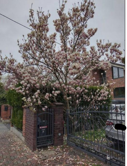 Name:  Screenshot2024-04-16142921.jpg
Views: 31
Size:  79.7 KB