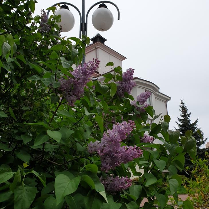 Name:  Screenshot_20240421-080321_Gallery.jpg
Views: 37
Size:  91.5 KB