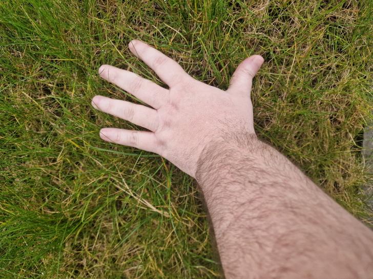 Name:  20240422_104717.jpg
Views: 43
Size:  99.6 KB