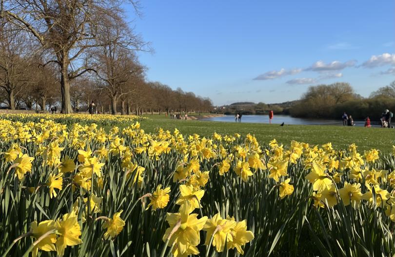 Name:  IMG_6103(1).jpg
Views: 996
Size:  102.5 KB