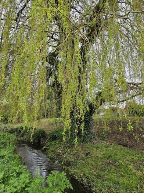 Name:  20240322_123332.jpg
Views: 70
Size:  96.9 KB