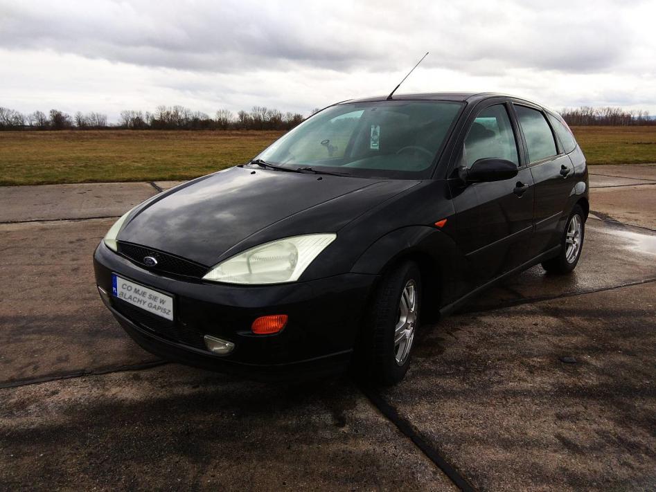 Name:  stronk-fokus.jpg
Views: 23
Size:  95.4 KB