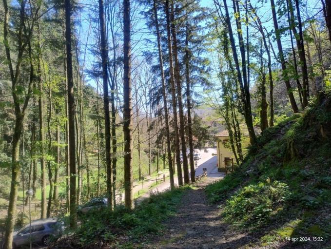 Name:  msg165231064-623452(Media).jpg
Views: 87
Size:  101.1 KB