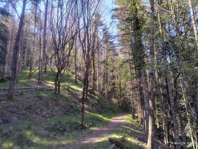 Name:  msg165231064-623454(Media).jpg
Views: 87
Size:  101.1 KB