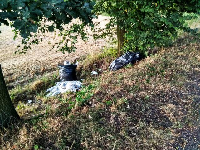 Name:  dzienziemi.jpg
Views: 63
Size:  105.4 KB