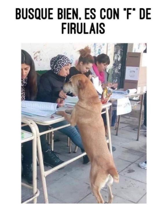 Name:  shut.jpg
Views: 86
Size:  47.6 KB