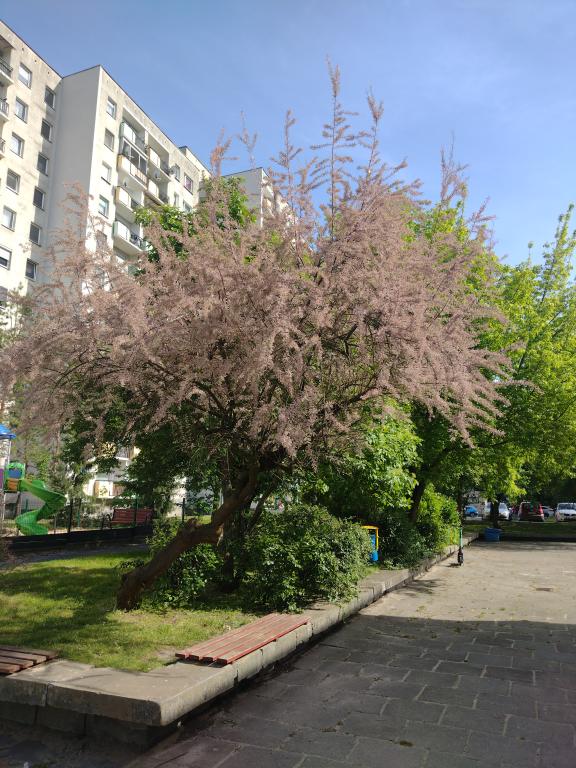 Name:  IMG_2.jpg
Views: 20
Size:  97.1 KB