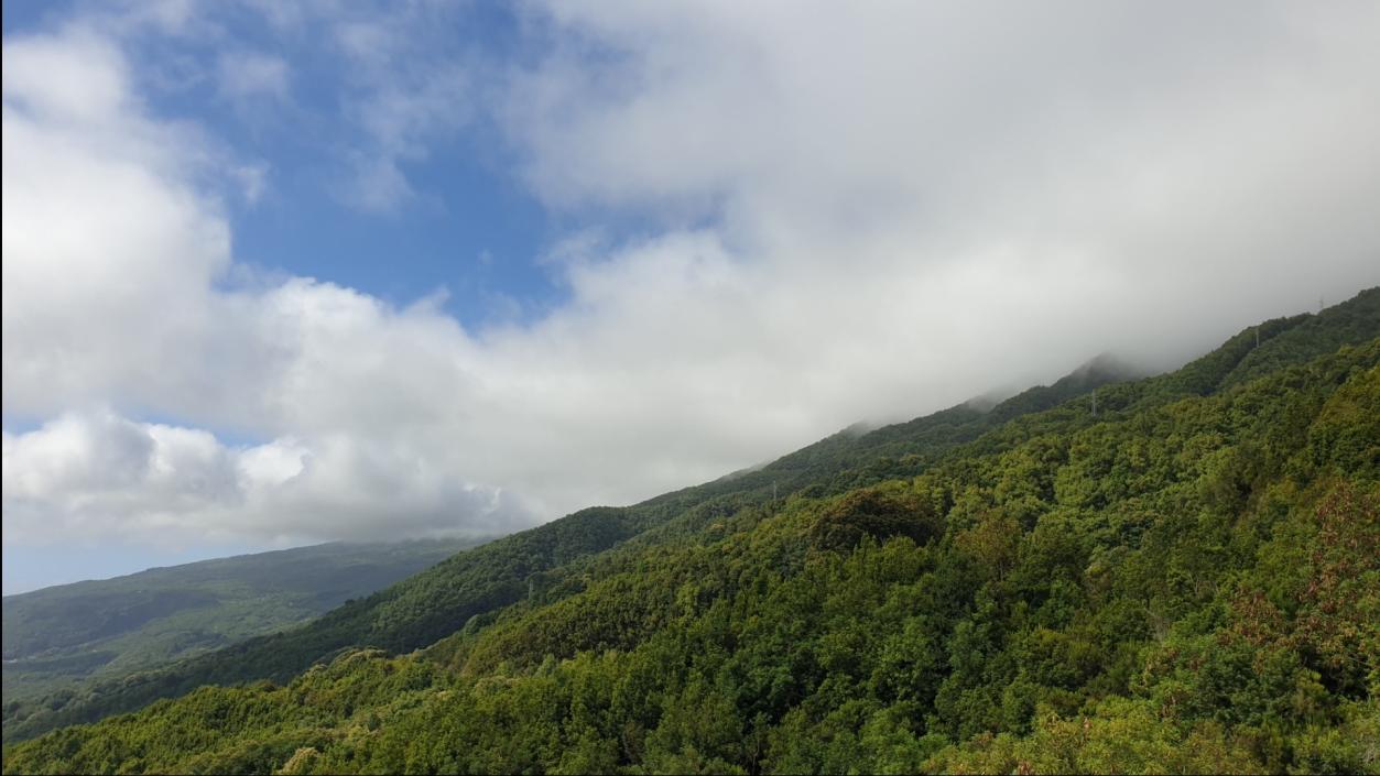 Name:  Screenshot_20240430_130808_Photos.jpg
Views: 19
Size:  94.6 KB