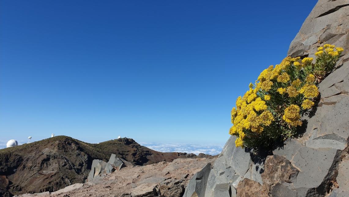 Name:  Screenshot_20240430_131121_Photos.jpg
Views: 21
Size:  96.6 KB