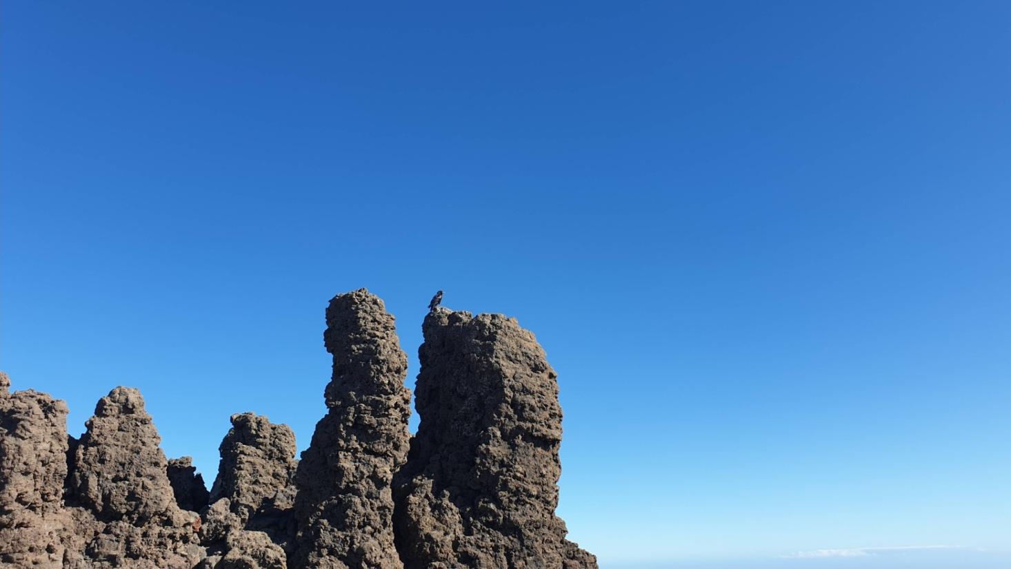 Name:  Screenshot_20240430_131203_Photos.jpg
Views: 19
Size:  87.9 KB