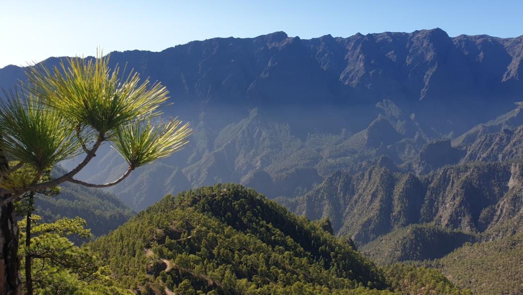 Name:  Screenshot_20240430_130936_Photos.jpg
Views: 17
Size:  98.4 KB