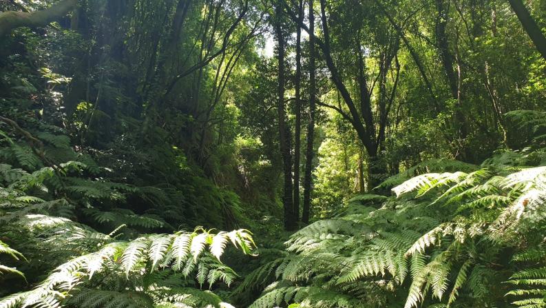 Name:  Screenshot_20240430_131621_Photos.jpg
Views: 17
Size:  102.3 KB