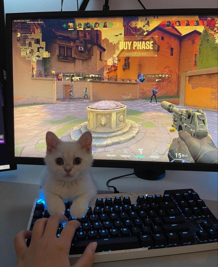 Name:  20240508_080328.jpg
Views: 16
Size:  91.8 KB