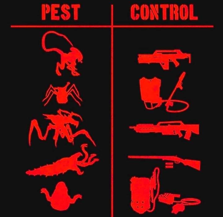 Name:  20240508_080316.jpg
Views: 16
Size:  29.1 KB