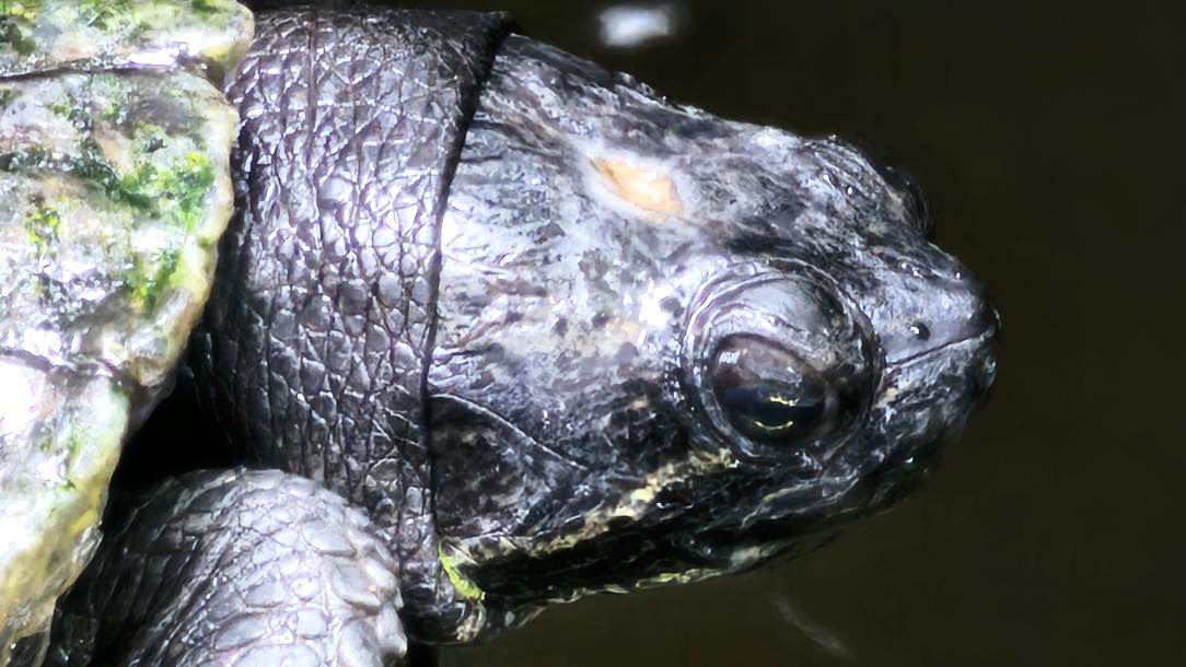 Name:  20240426_134557.jpg
Views: 18
Size:  98.8 KB