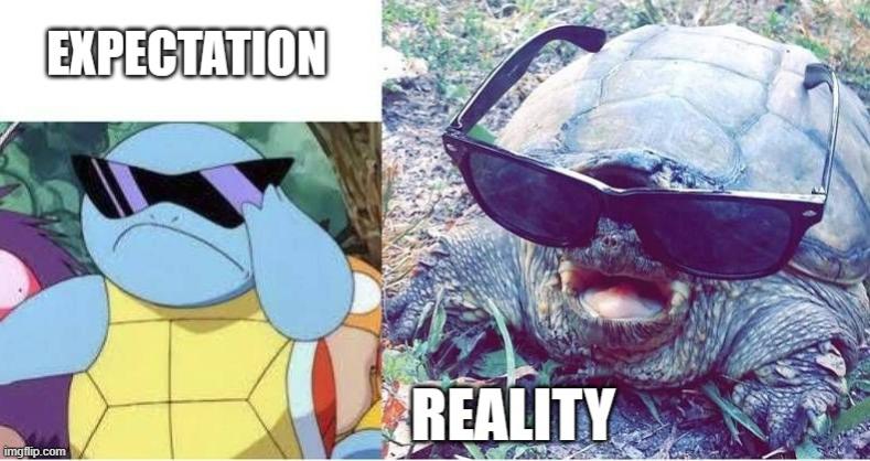 Name:  squimeme.jpg
Views: 18
Size:  63.4 KB