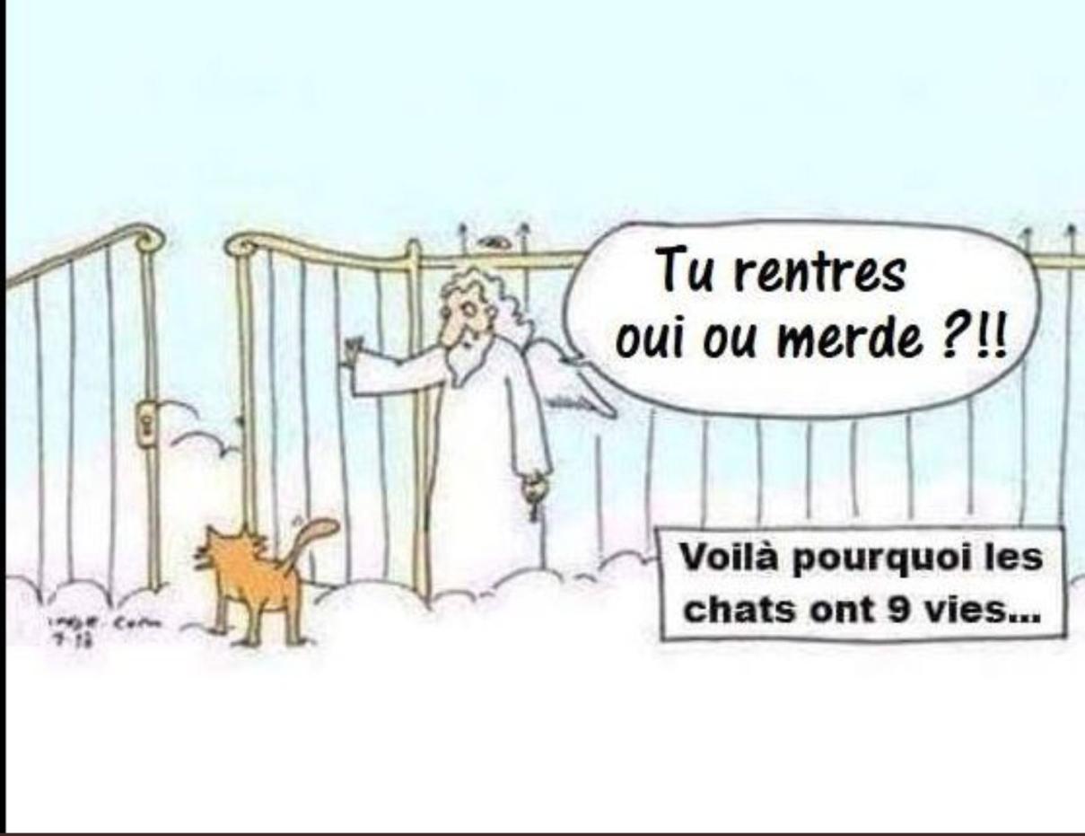 Name:  20240522_211203.jpg
Views: 51
Size:  77.0 KB