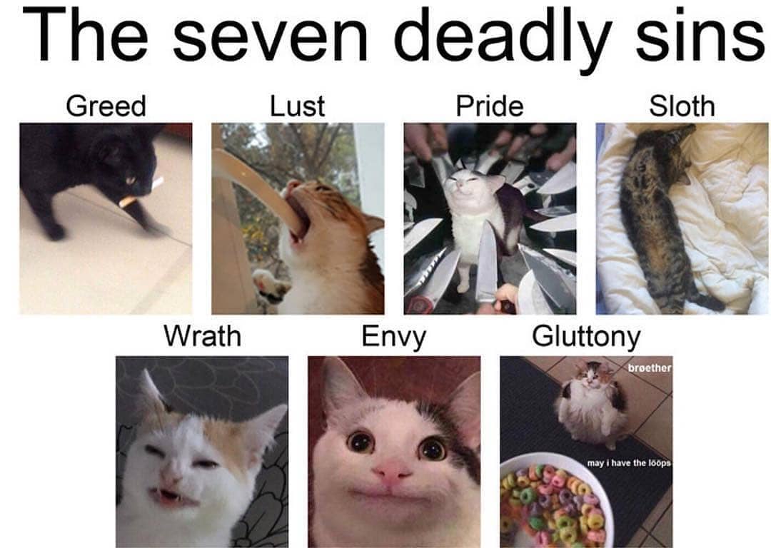 Name:  20240521_231044.jpg
Views: 50
Size:  70.9 KB