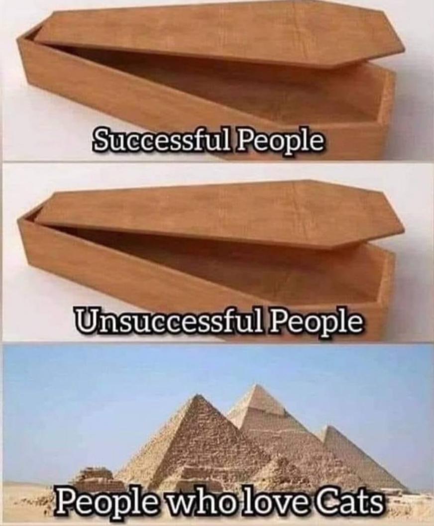 Name:  20240521_224750.jpg
Views: 50
Size:  79.7 KB