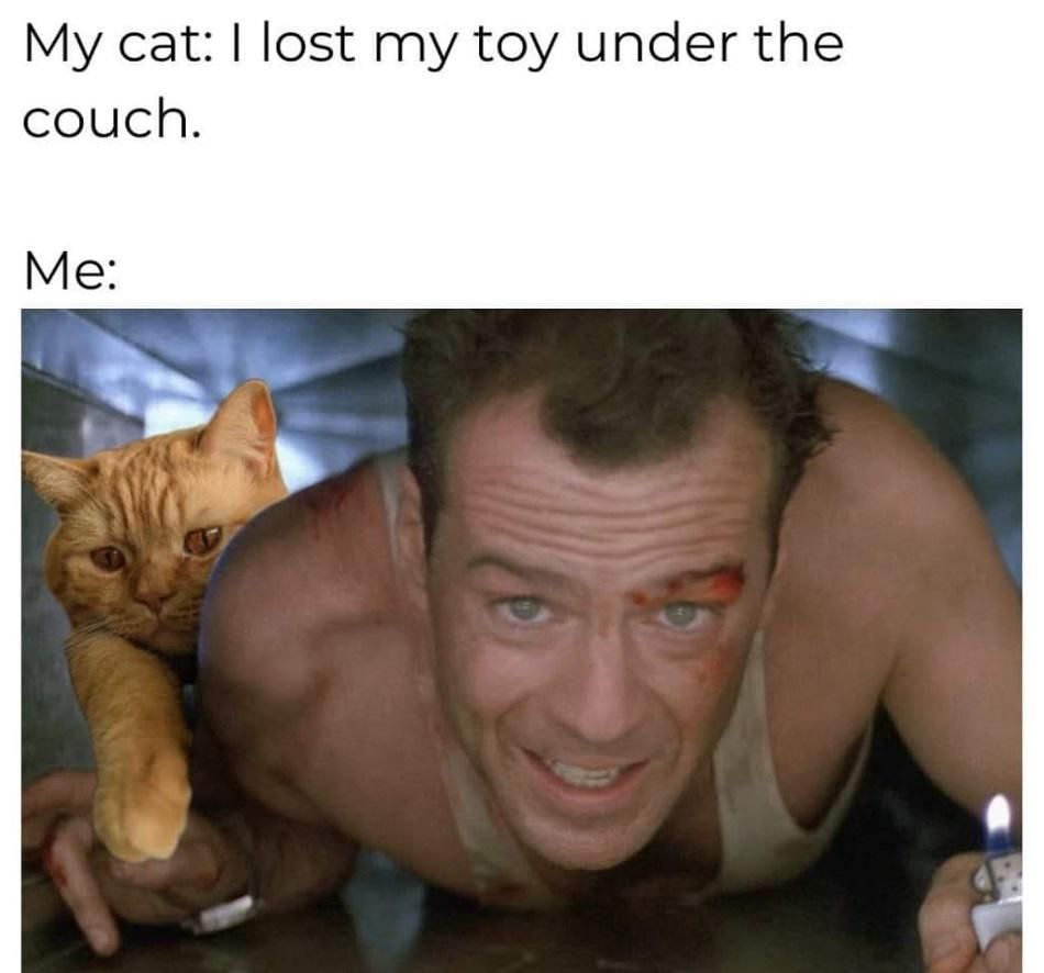 Name:  20240521_224206.jpg
Views: 50
Size:  69.0 KB