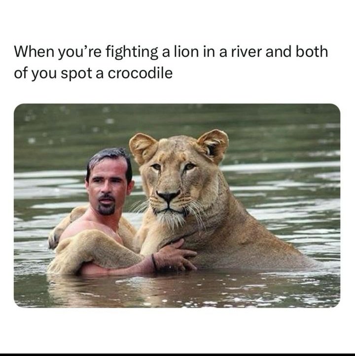 Name:  20240521_214925.jpg
Views: 50
Size:  72.1 KB