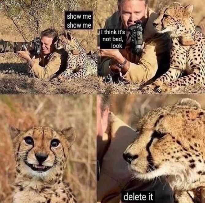 Name:  80twoeot.jpg
Views: 33
Size:  94.7 KB